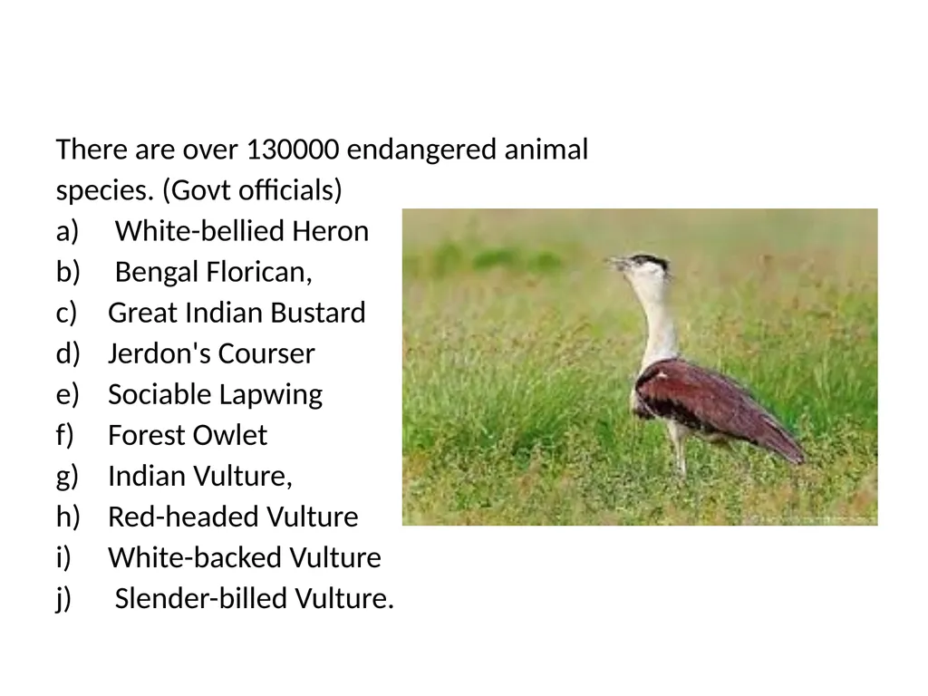 Biodiversity There are over 130000 endangered - slide 2 of 13