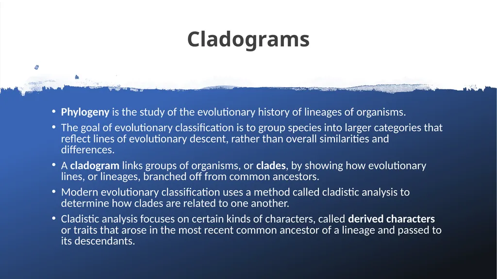 Chapter 19 – Biodiversity and Classification What - slide 18 of 23