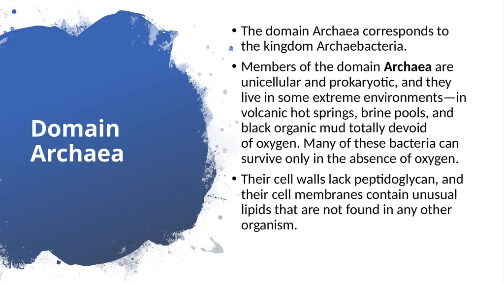 Chapter 19 – Biodiversity and Classification What - slide 11 of 23