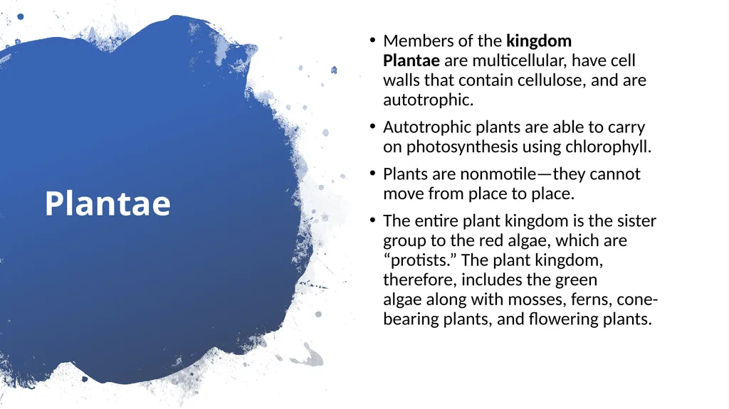 Chapter 19 – Biodiversity and Classification What - slide 16 of 23