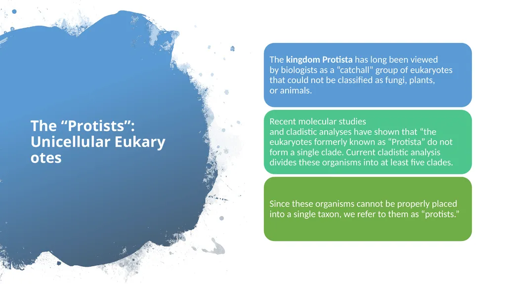 Chapter 19 – Biodiversity and Classification What - slide 13 of 23