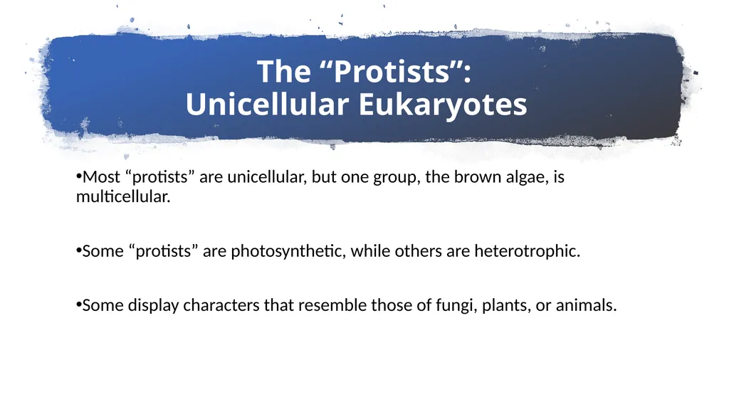 Chapter 19 – Biodiversity and Classification What - slide 14 of 23