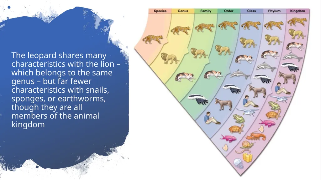 Chapter 19 – Biodiversity and Classification What - slide 5 of 23