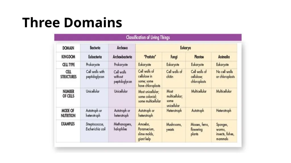Chapter 19 – Biodiversity and Classification What - slide 9 of 23