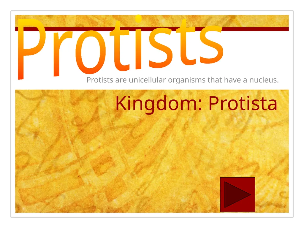 Kingdom: Protista Protists are unicellular - slide 1 of 8