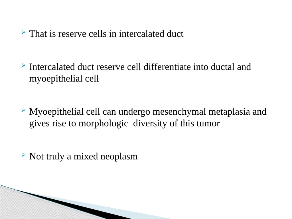 Adenomas Pleomorphic Adenoma Myoepithelioma Basal - slide 8 of 19