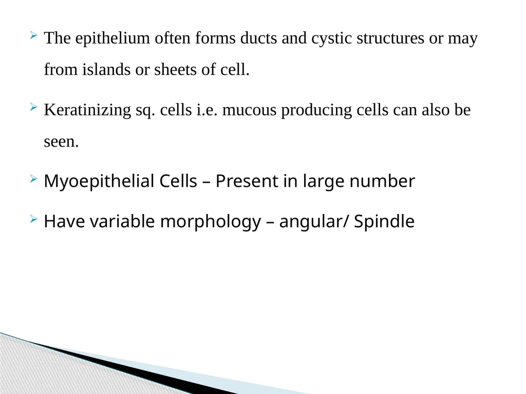 Adenomas Pleomorphic Adenoma Myoepithelioma Basal - slide 14 of 19