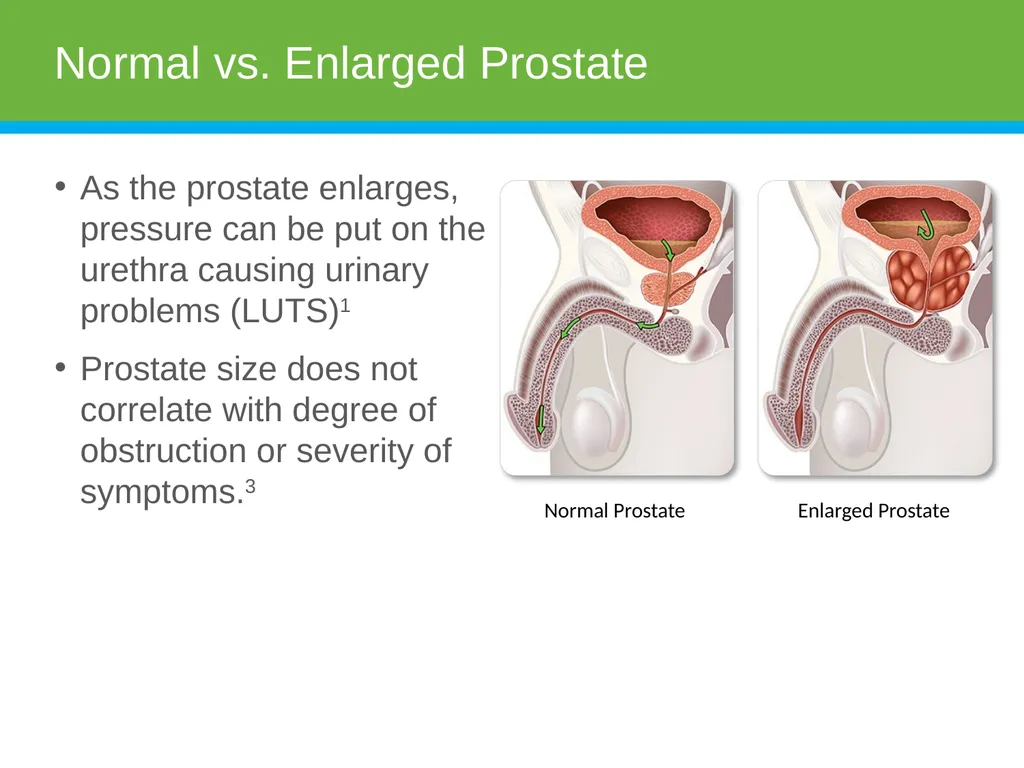Physician Presenter Disclaimer Products, services, - slide 10 of 30
