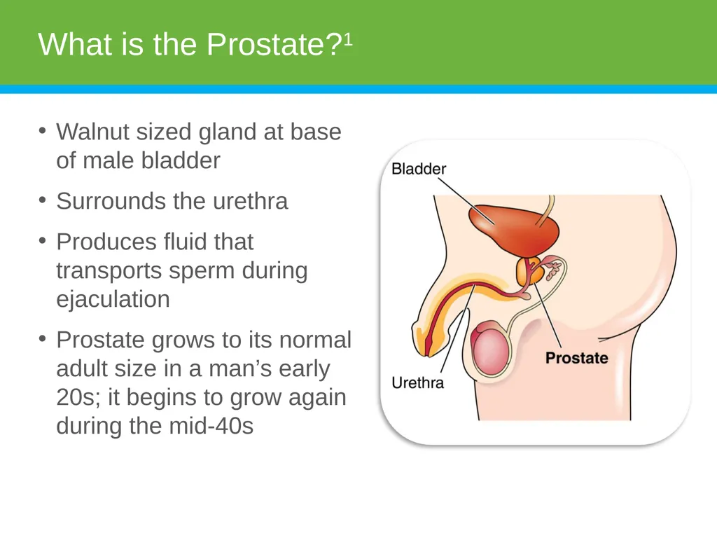 Physician Presenter Disclaimer Products, services, - slide 6 of 30