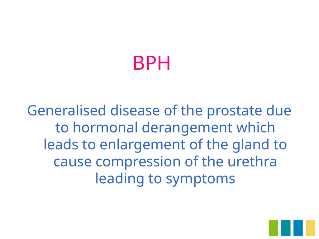 Benign Prostatic Hyperplasia The Prostate Gland - slide 4 of 37