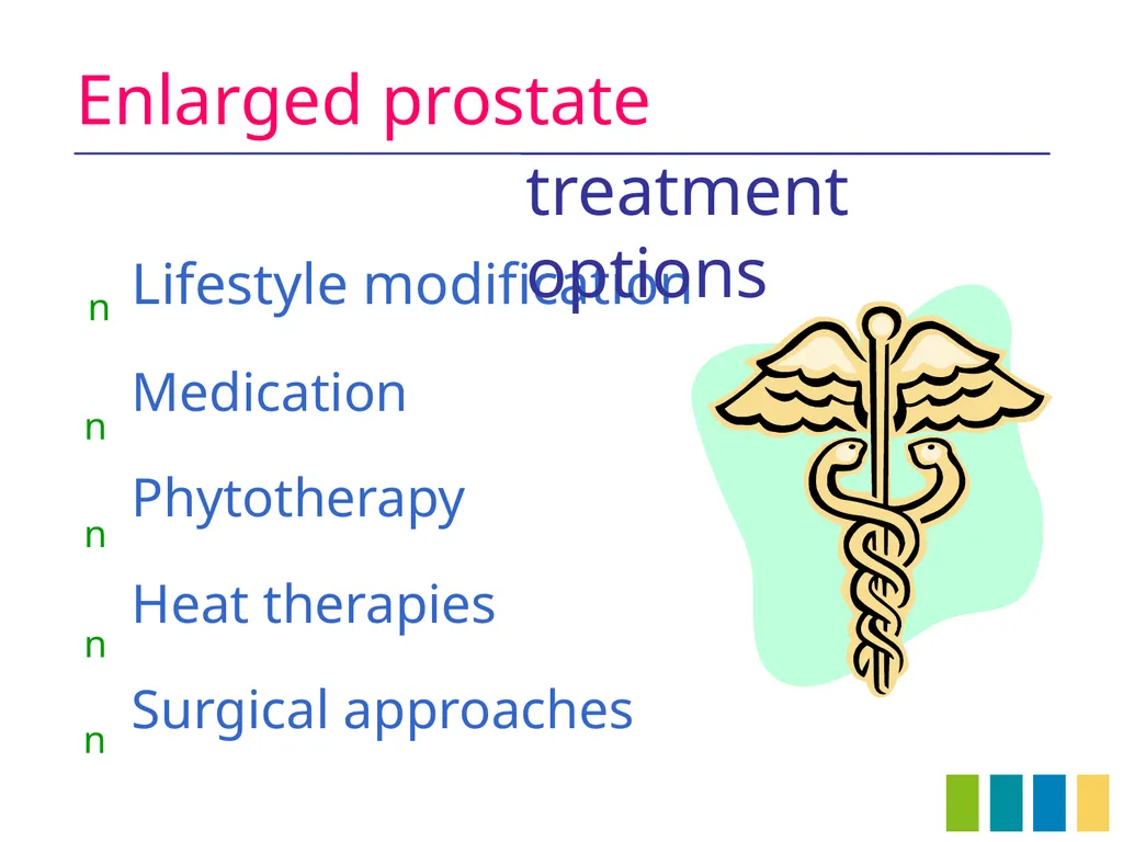 Benign Prostatic Hyperplasia The Prostate Gland - slide 16 of 37