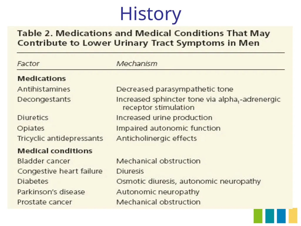 Benign Prostatic Hyperplasia The Prostate Gland - slide 8 of 37