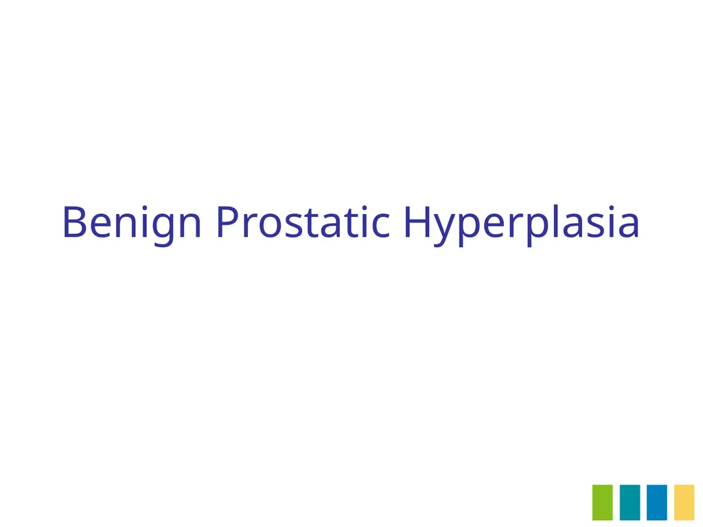 Benign Prostatic Hyperplasia The Prostate Gland