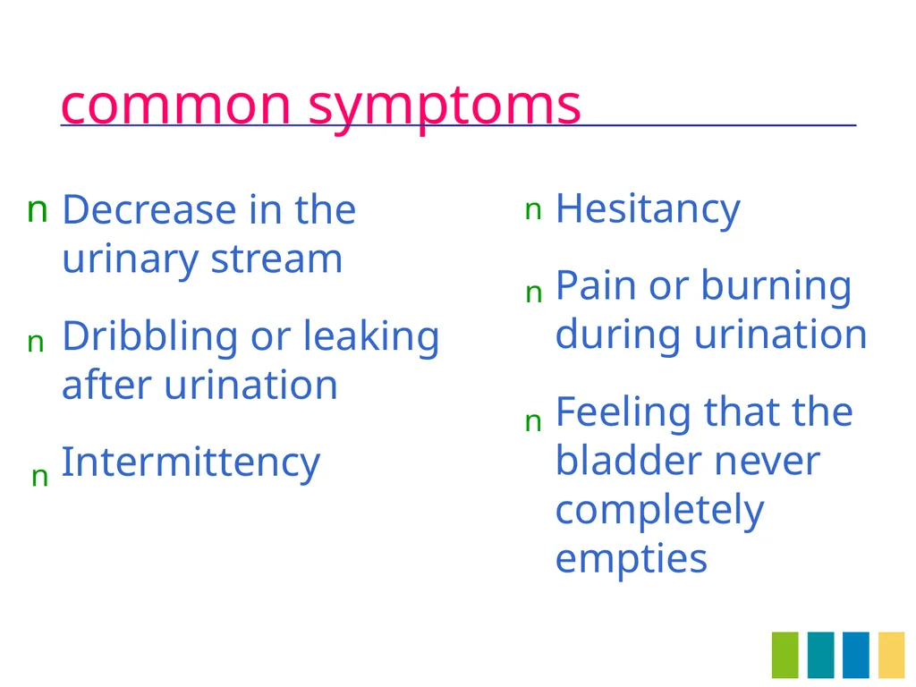 Benign Prostatic Hyperplasia The Prostate Gland - slide 6 of 37