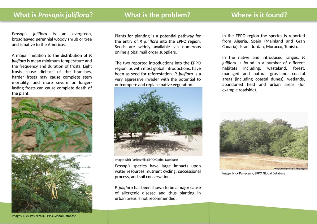 How to recognize it? Can you help us? Prepared in - slide 2 of 2