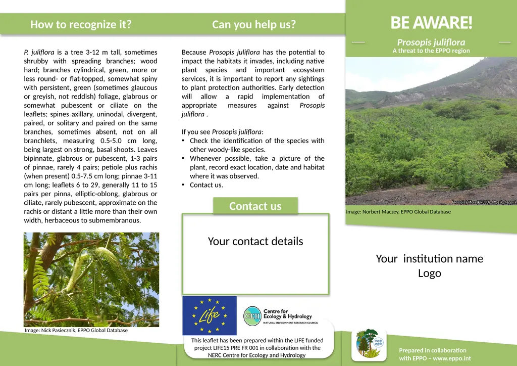 How to recognize it? Can you help us? Prepared in