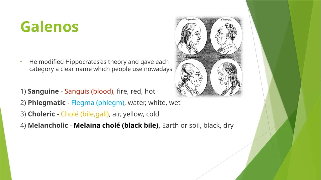 TYPOLOGY OF TEMPERAMENTS BEATRICE CONTENT - slide 4 of 12