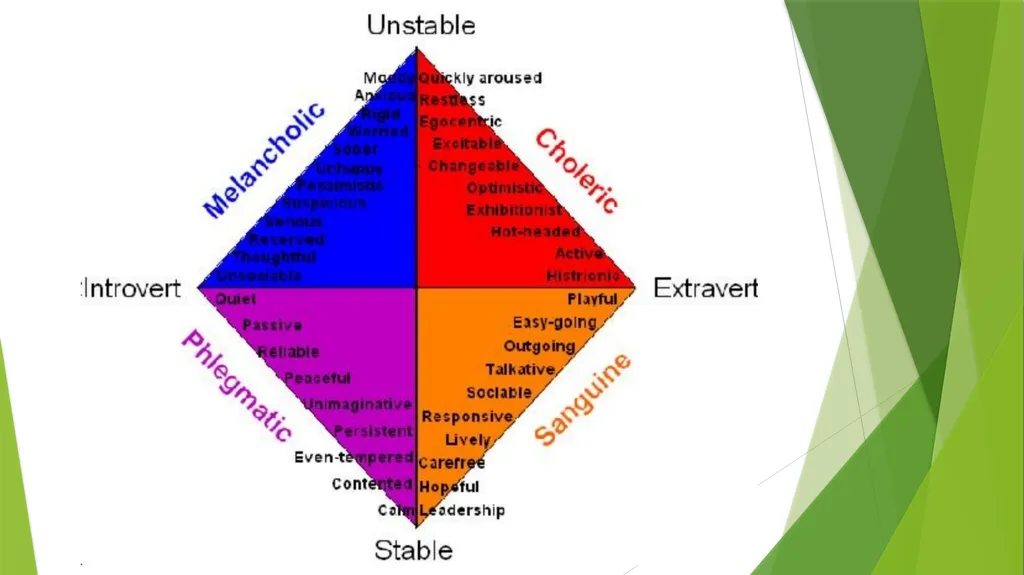 TYPOLOGY OF TEMPERAMENTS BEATRICE CONTENT - slide 9 of 12