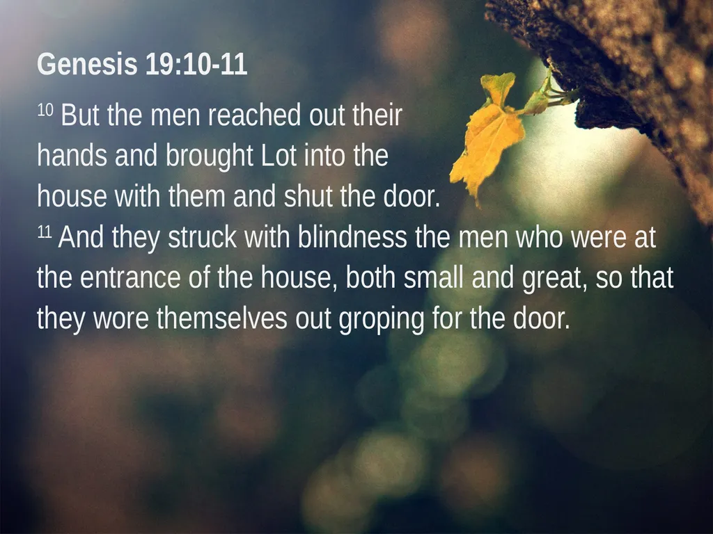 Genesis 13:10-12 And Lot lifted up his eyes and - slide 8 of 12