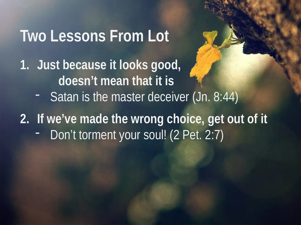 Genesis 13:10-12 And Lot lifted up his eyes and - slide 11 of 12