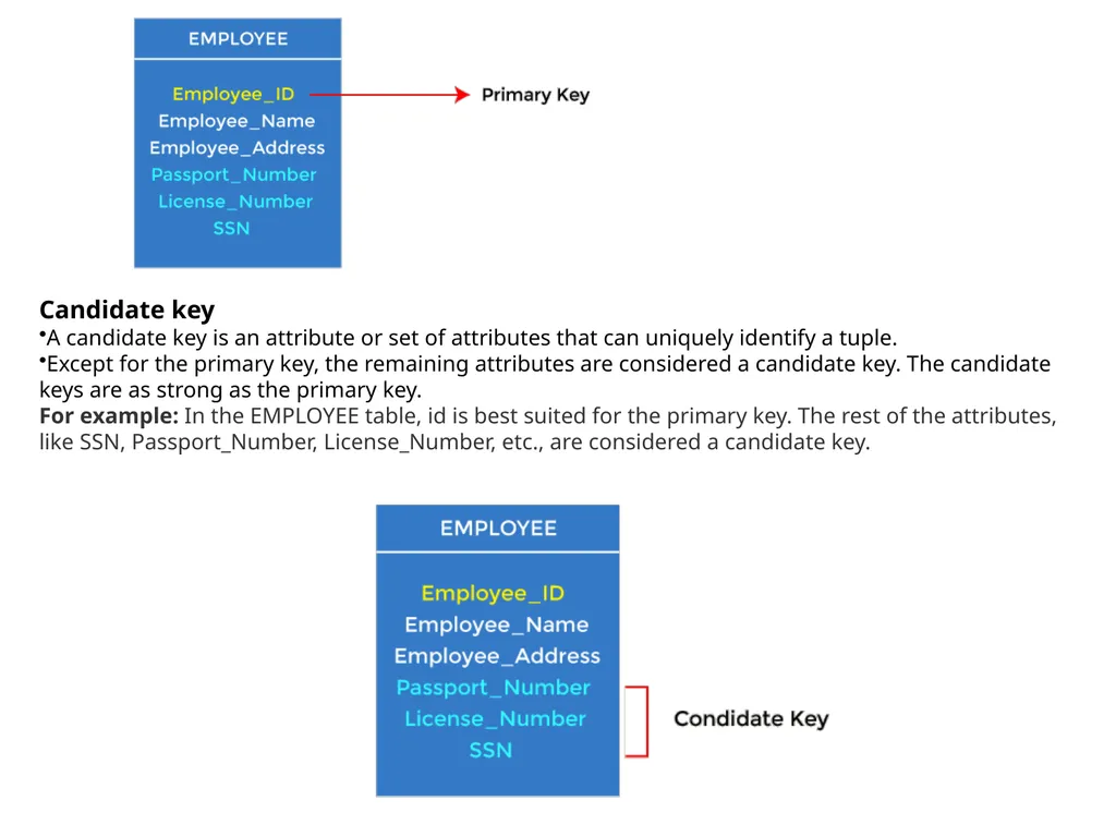 UNIT-1.4 Data Modeling using the Entity - slide 17 of 22