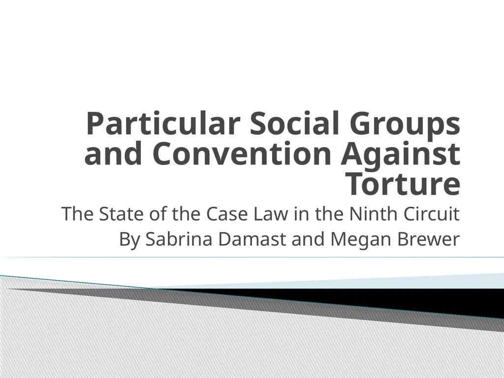 Particular Social Groups and Convention Against