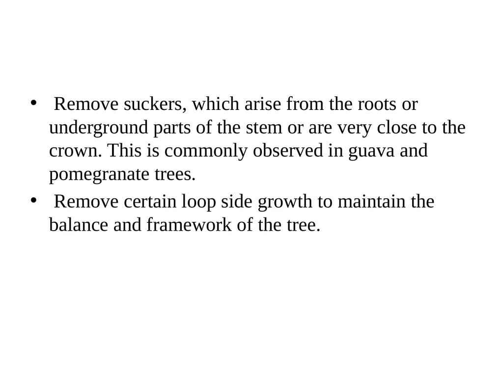 Important horticultural operations DAY 4 Training - slide 7 of 11