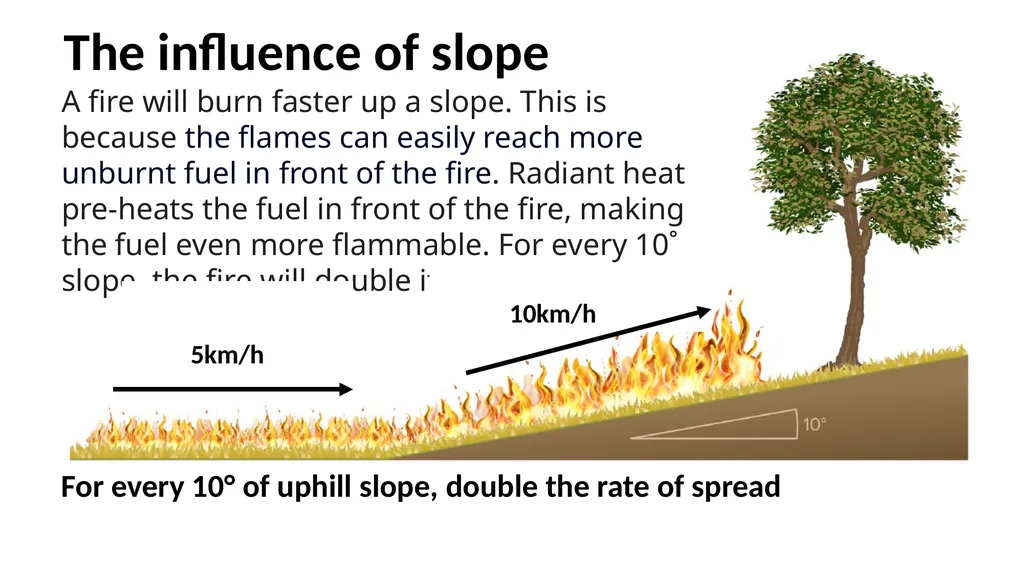 PART 6 TOPOGRAPHY WHAT IS TOPOGRAPHY? Topography - slide 4 of 9
