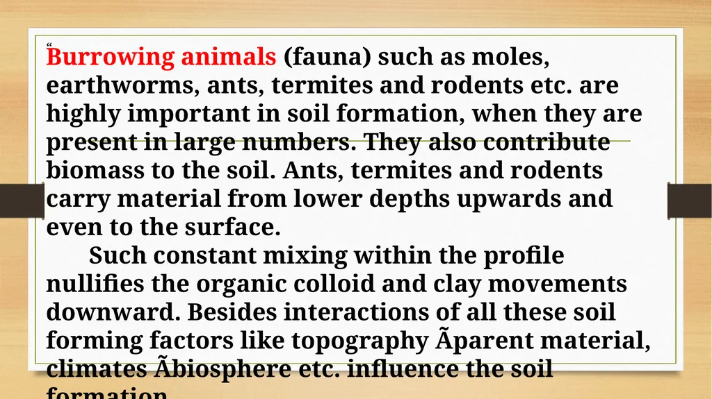 APPLIED GEOMORPHOLOGY – External Processes – SOIL - slide 21 of 28