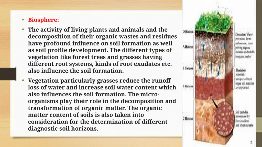 APPLIED GEOMORPHOLOGY – External Processes – SOIL - slide 20 of 28