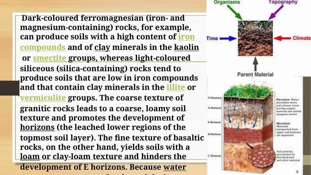 APPLIED GEOMORPHOLOGY – External Processes – SOIL - slide 7 of 28