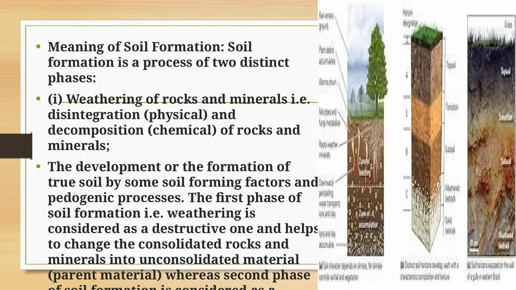 APPLIED GEOMORPHOLOGY – External Processes – SOIL - slide 13 of 28