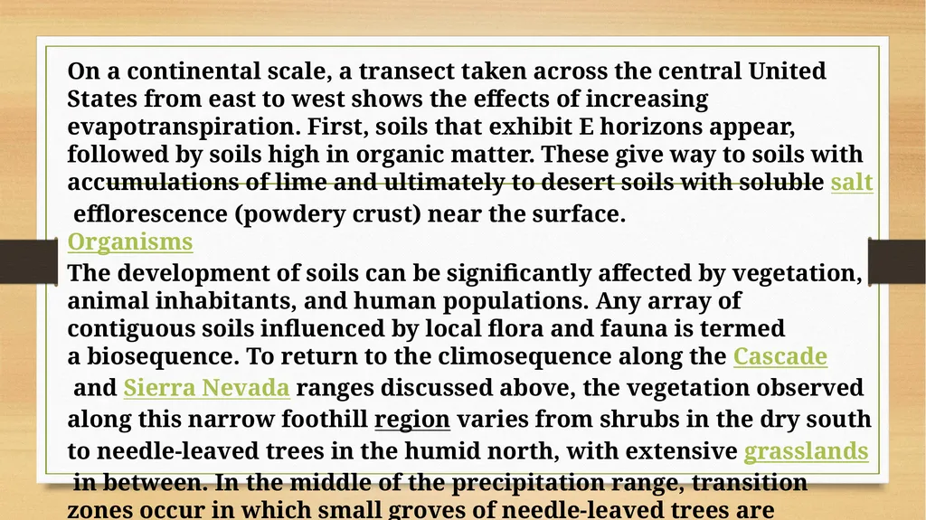 APPLIED GEOMORPHOLOGY – External Processes – SOIL - slide 11 of 28