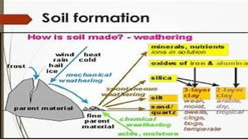 APPLIED GEOMORPHOLOGY – External Processes – SOIL - slide 14 of 28