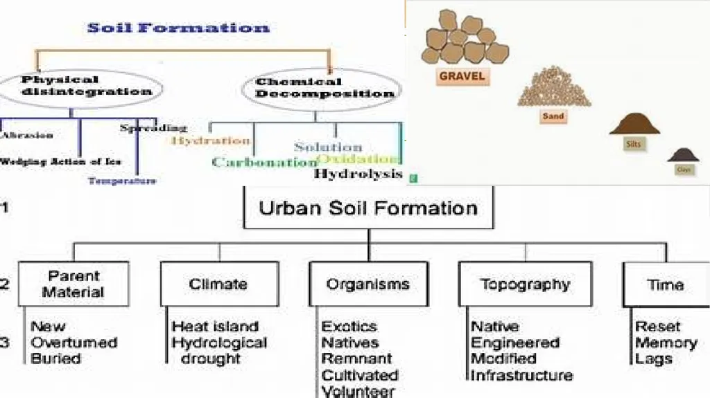 APPLIED GEOMORPHOLOGY – External Processes – SOIL - slide 26 of 28