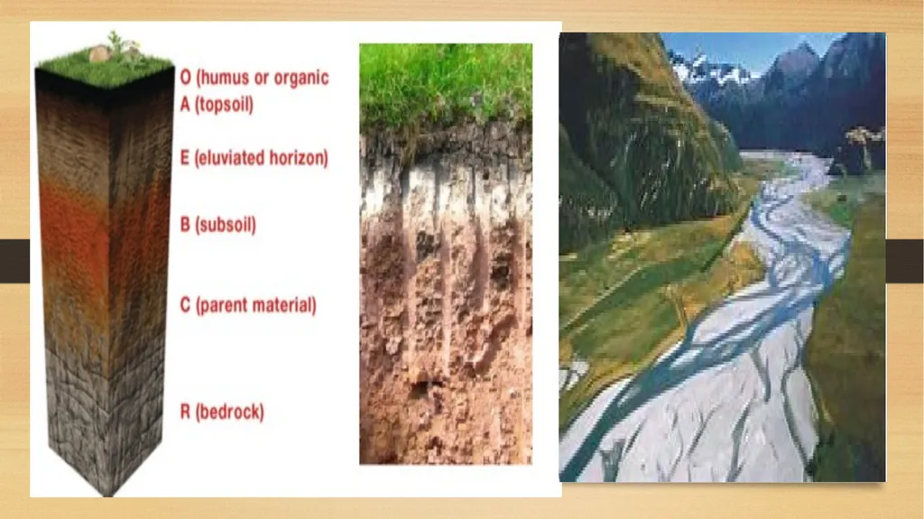 APPLIED GEOMORPHOLOGY – External Processes – SOIL - slide 27 of 28