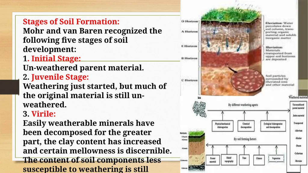 APPLIED GEOMORPHOLOGY – External Processes – SOIL - slide 22 of 28