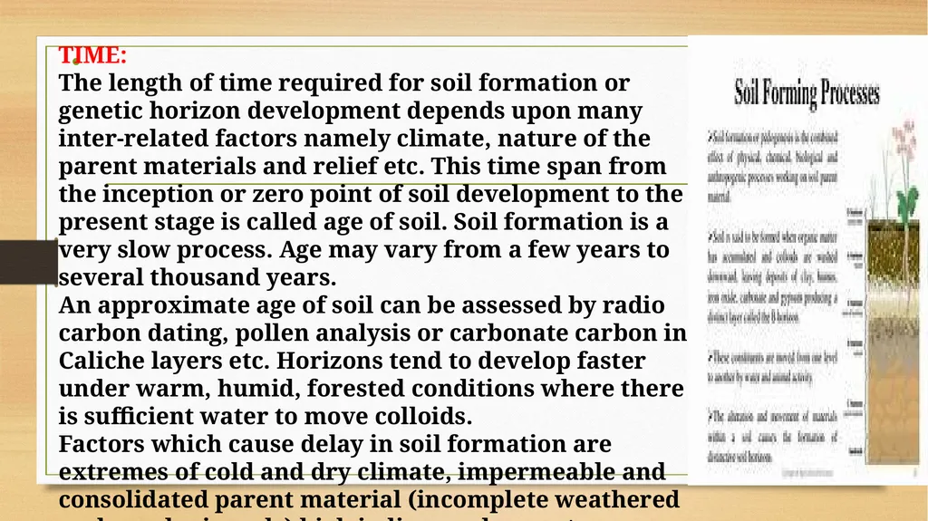 APPLIED GEOMORPHOLOGY – External Processes – SOIL - slide 17 of 28