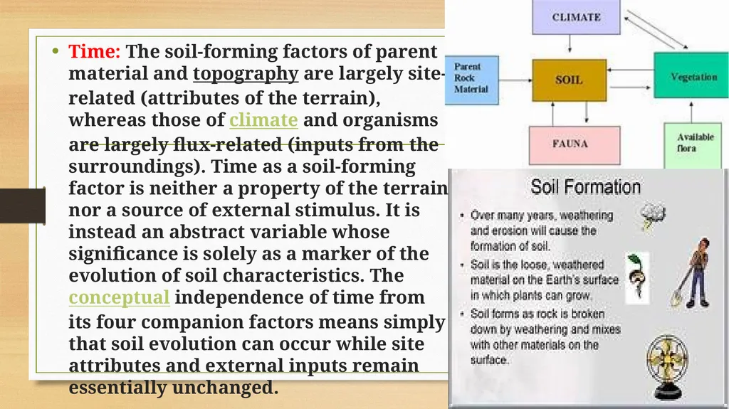 APPLIED GEOMORPHOLOGY – External Processes – SOIL - slide 12 of 28
