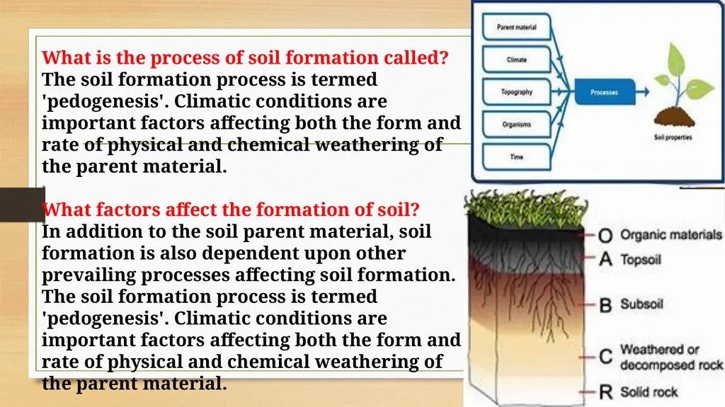 APPLIED GEOMORPHOLOGY – External Processes – SOIL - slide 5 of 28