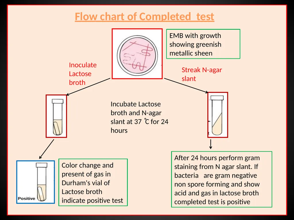 US04CMIC22 Environmental Microbiology UNIT-3: - slide 39 of 62