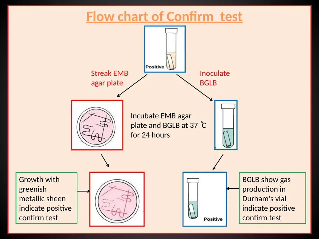 US04CMIC22 Environmental Microbiology UNIT-3: - slide 35 of 62