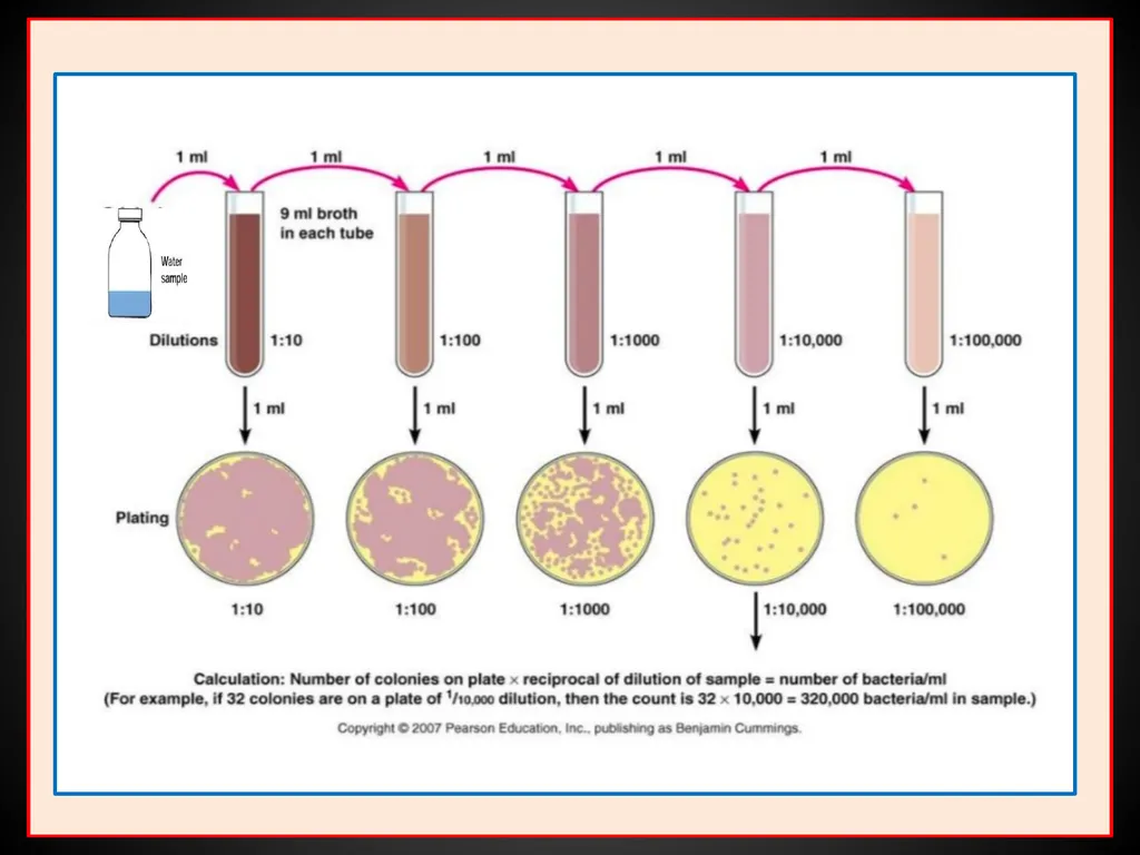 US04CMIC22 Environmental Microbiology UNIT-3: - slide 27 of 62