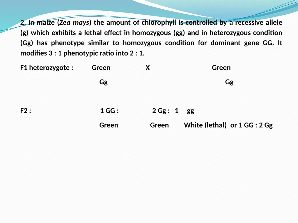 genetic course lecture (4) Lethal alleles and - slide 5 of 18