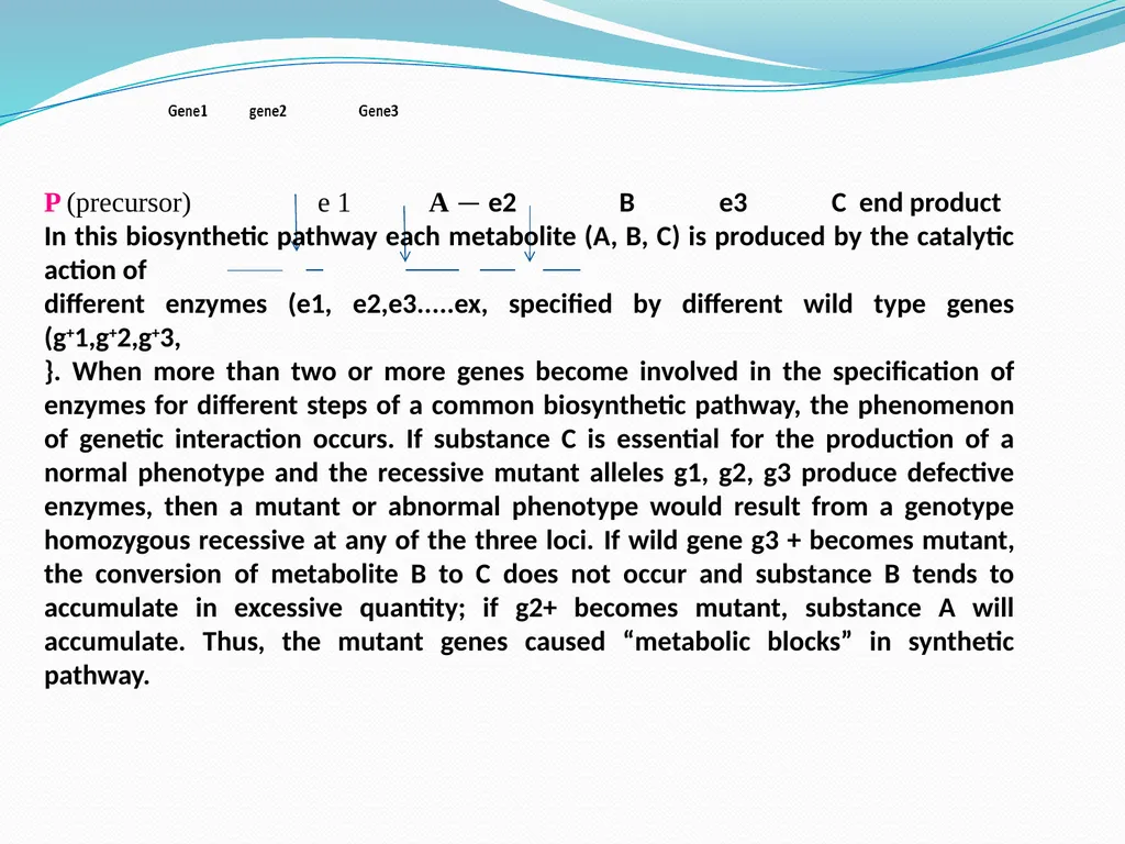 genetic course lecture (4) Lethal alleles and - slide 16 of 18