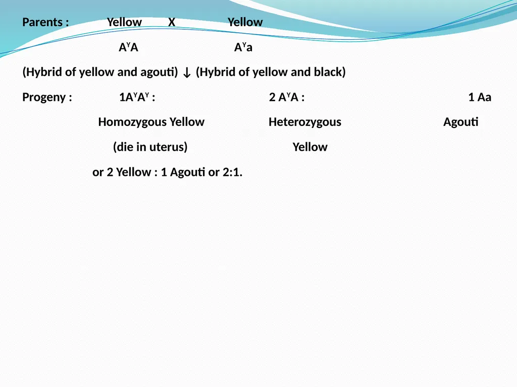 genetic course lecture (4) Lethal alleles and - slide 7 of 18