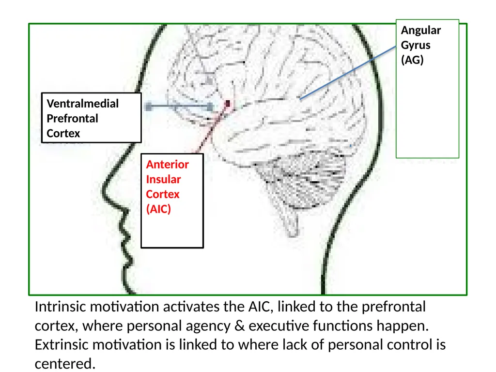 Neuro-Exploration: Why MI works in resolving - slide 39 of 47