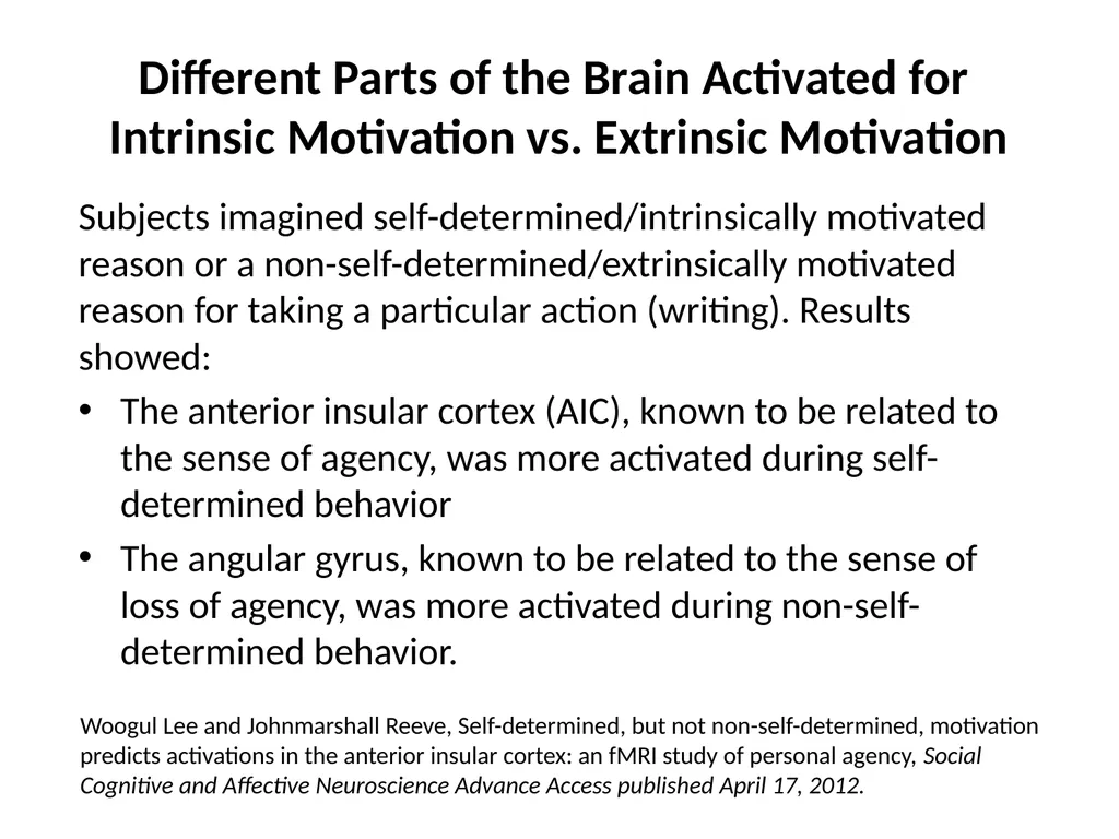 Neuro-Exploration: Why MI works in resolving - slide 38 of 47