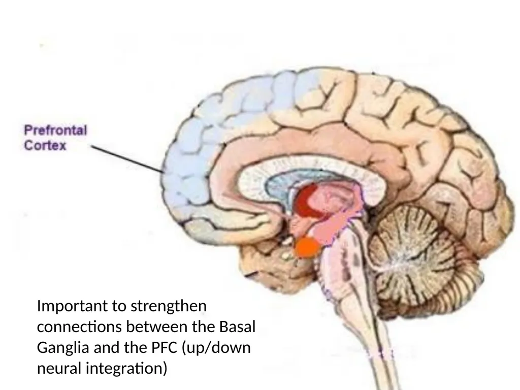 Neuro-Exploration: Why MI works in resolving - slide 34 of 47
