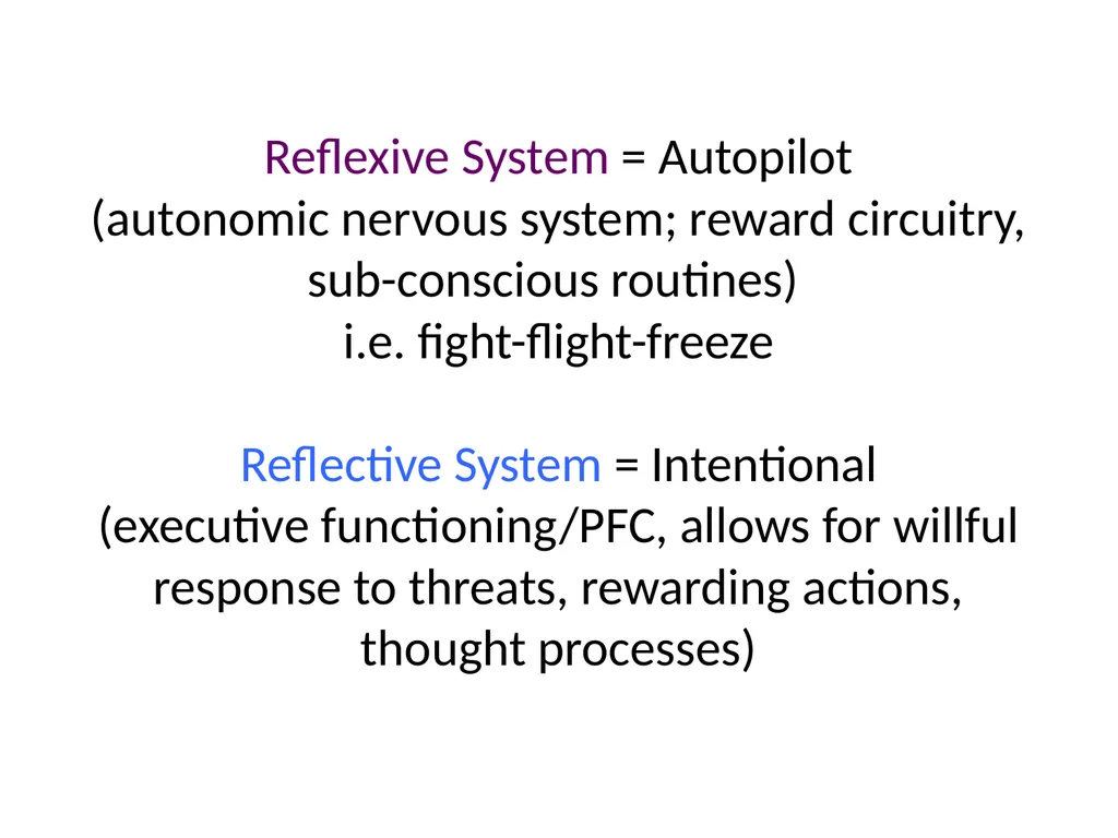 Neuro-Exploration: Why MI works in resolving - slide 30 of 47